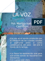 lavoz-110415021113-phpapp02