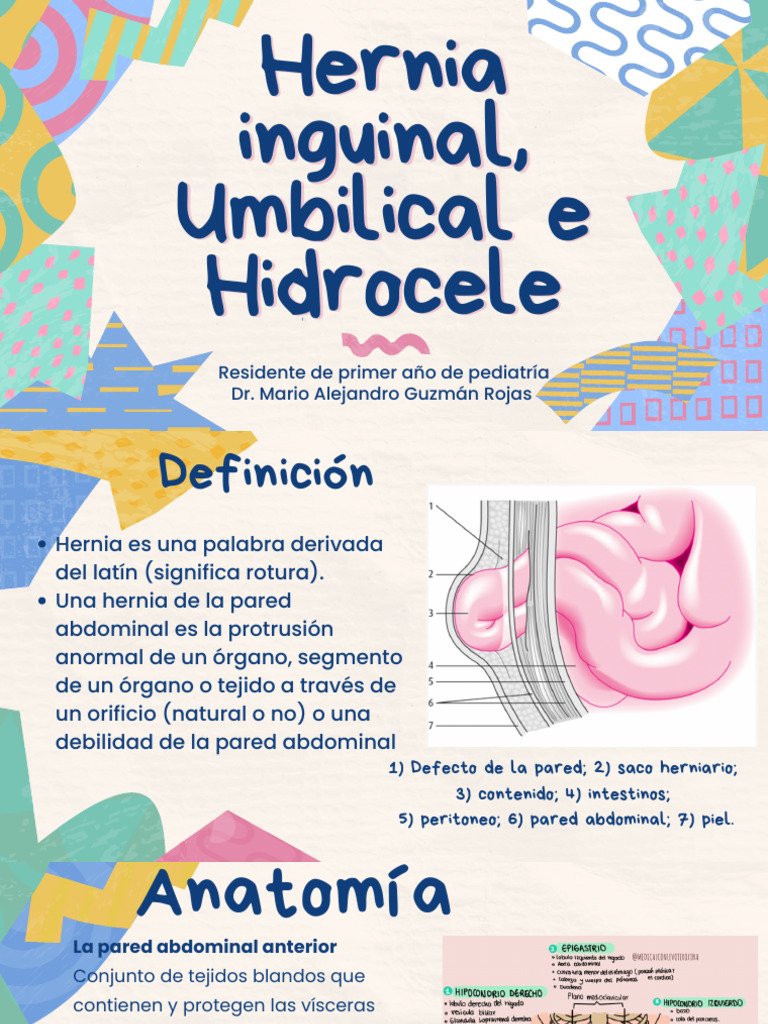 Hernia Inguinal, Umbilical e Hidrocele | PDF | Abdomen | Anatomía