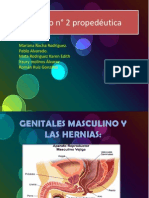 Genitales Masculinos y Las Hernias