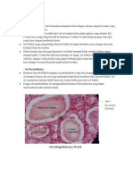 Histologi Tiroid & Kelenjar Limfe