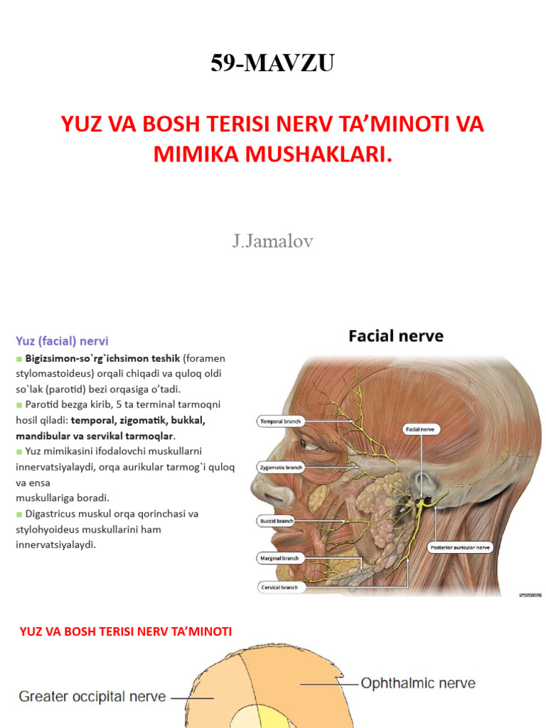 Transseksualda neovagina