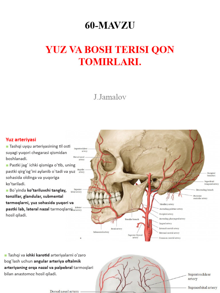 Iltimos, mening leggings porno boyicha kontur