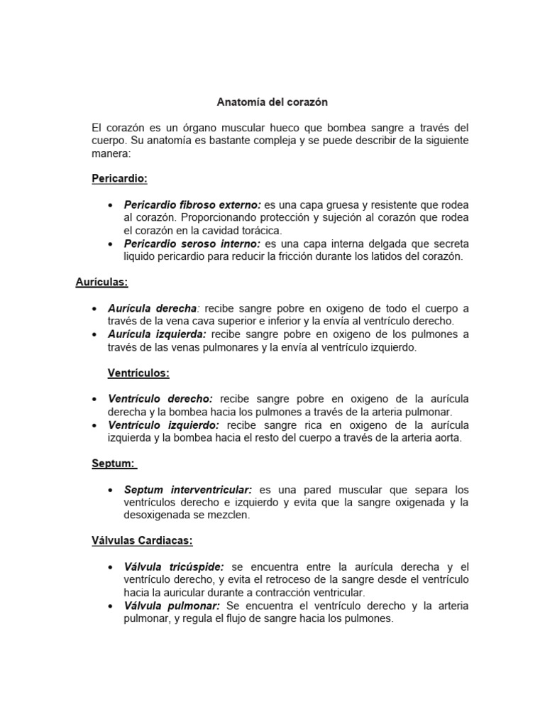 Anatomia Del Corazon Pdf Corazón Ventrículo Corazón
