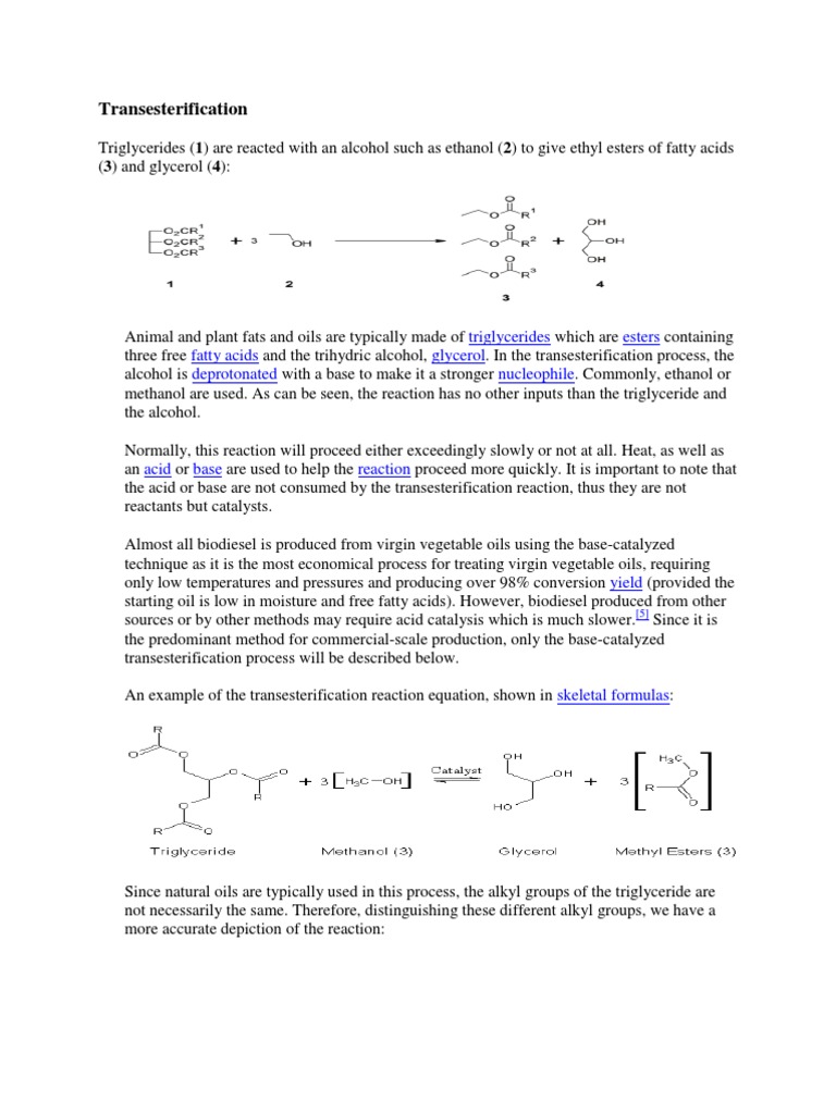 Transesterification | PDF | Ester | Alcohol