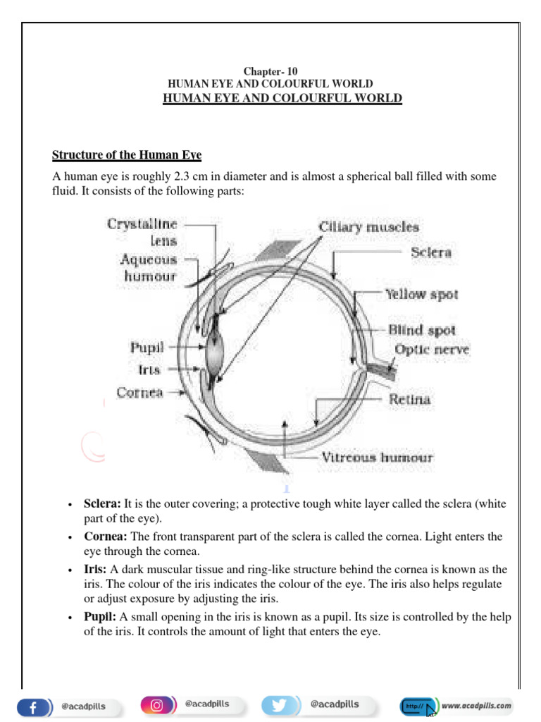 Human Eye Structure and Vision Defects | PDF | Rainbow | Eye