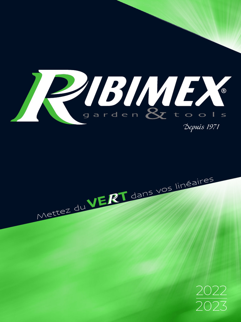 Clé à Cliquet 1/2" Avec 10 Douilles Et Rallonge - Chrome Vanadium Ribimex