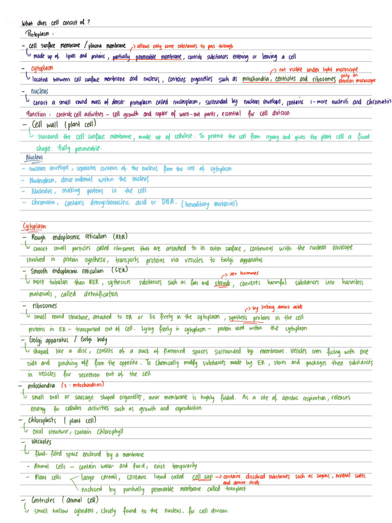 Bio Cells | PDF