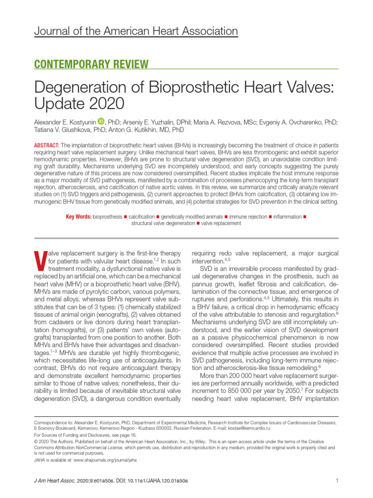 Degeneration of Bioprosthetic Heart Valves - Update 2020 | PDF ...
