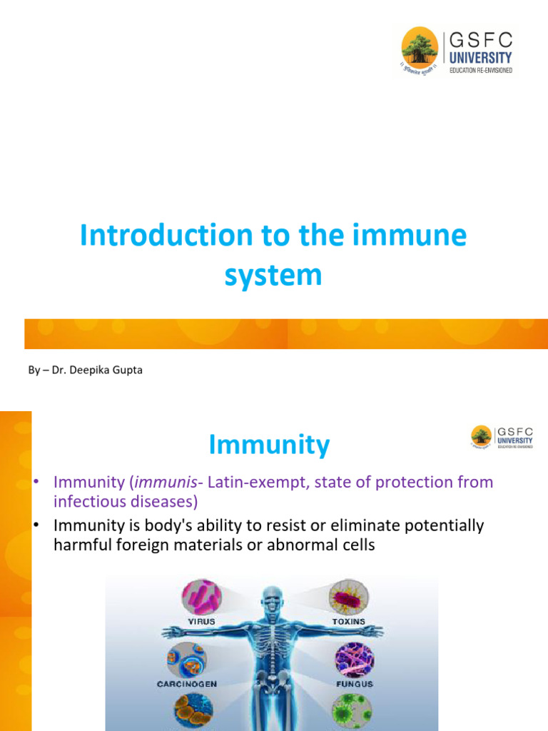 Immune System Model Overview | PDF | Immune System | Innate Immune System