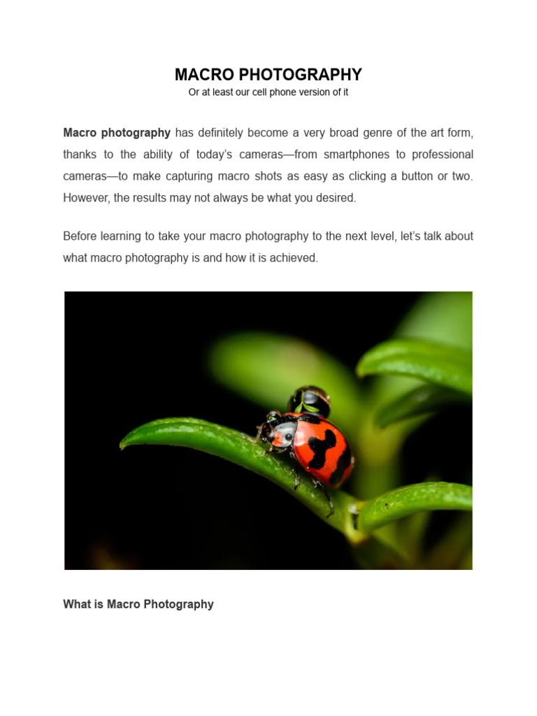 Macro Photography | PDF | Macro Photography | Camera