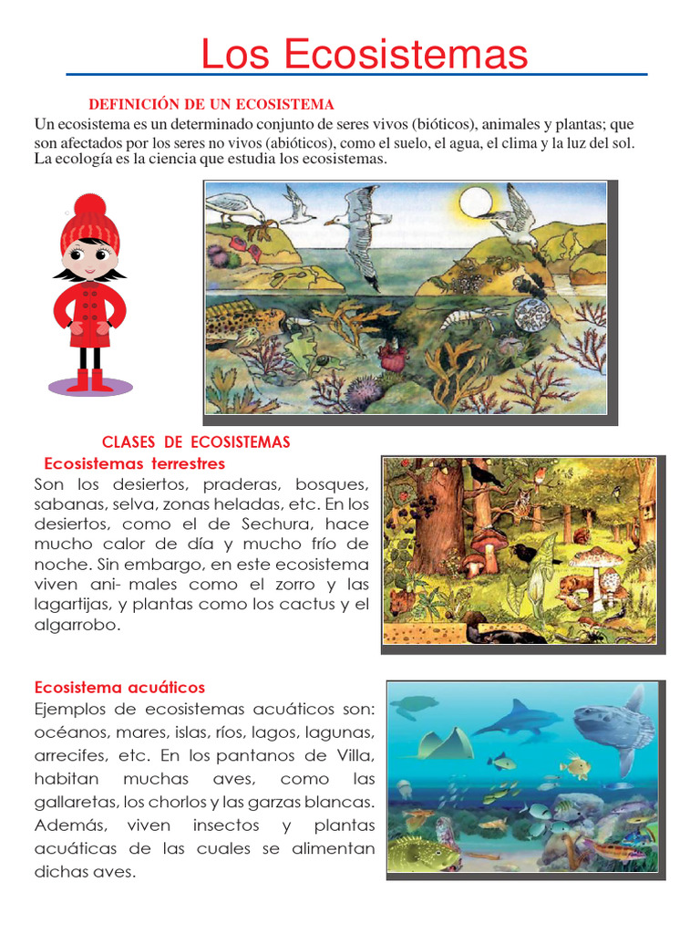 Definición y Tipos de Ecosistemas | PDF | Ecosistema | Naturaleza