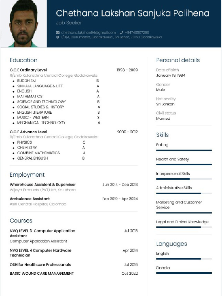 Modern cv pdf