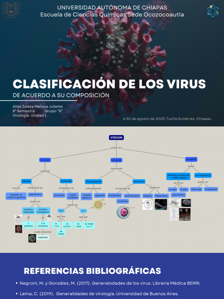 Mapa Conceptual de Clasificacion de Los Virus de Acuerdo A Su ...