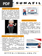 Misión y Funciones de SUNAFIL en Perú | PDF | Ministerio (Departamento ...