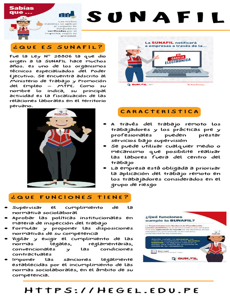 Funciones y objetivos de SUNAFIL | PDF | Crecimiento personal y ...