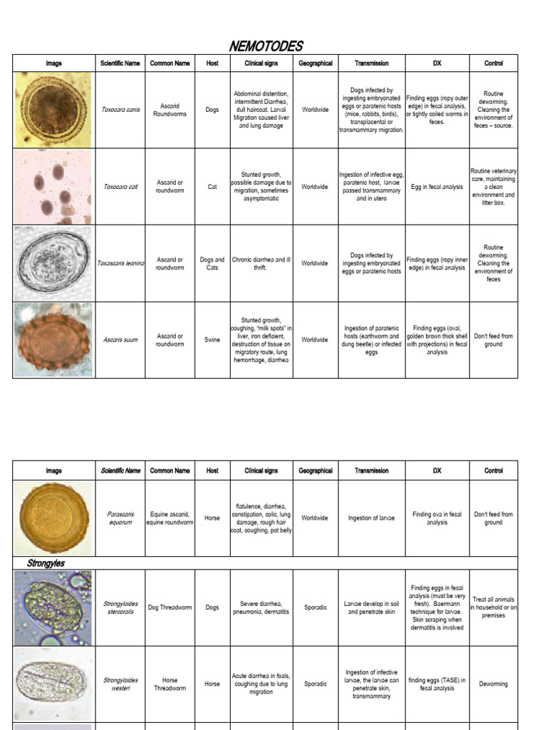 Nematode and Cestode Infection Guide | PDF | Medical Specialties ...