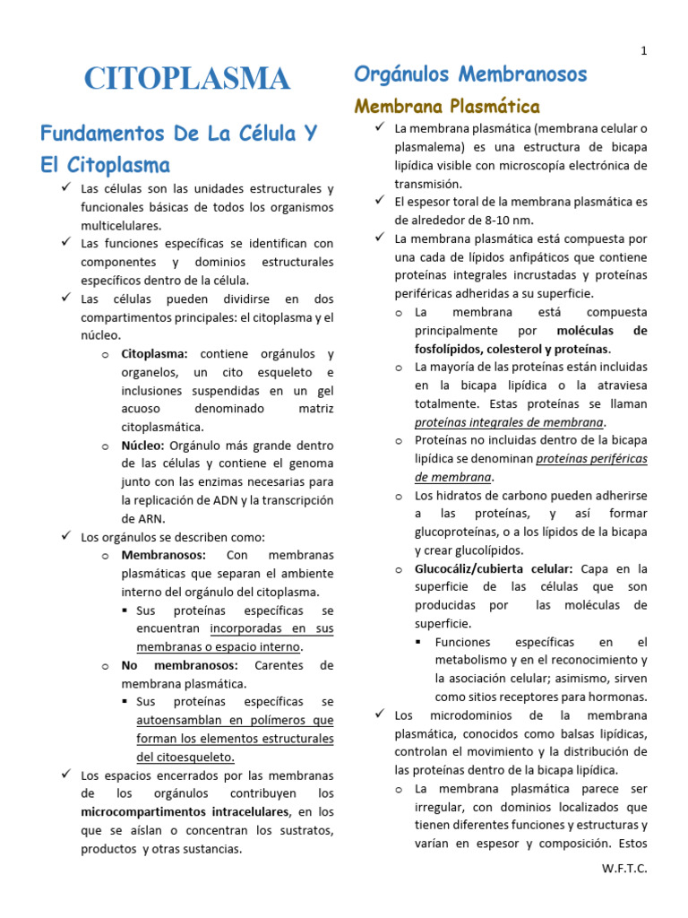 Estructura y Función del Citoplasma Celular | PDF | Transducción de ...