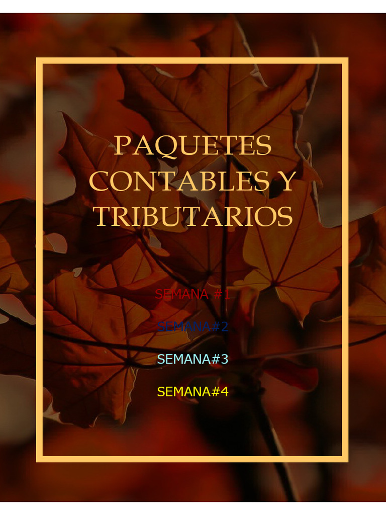 Paquetes Contables y Tributarios | PDF