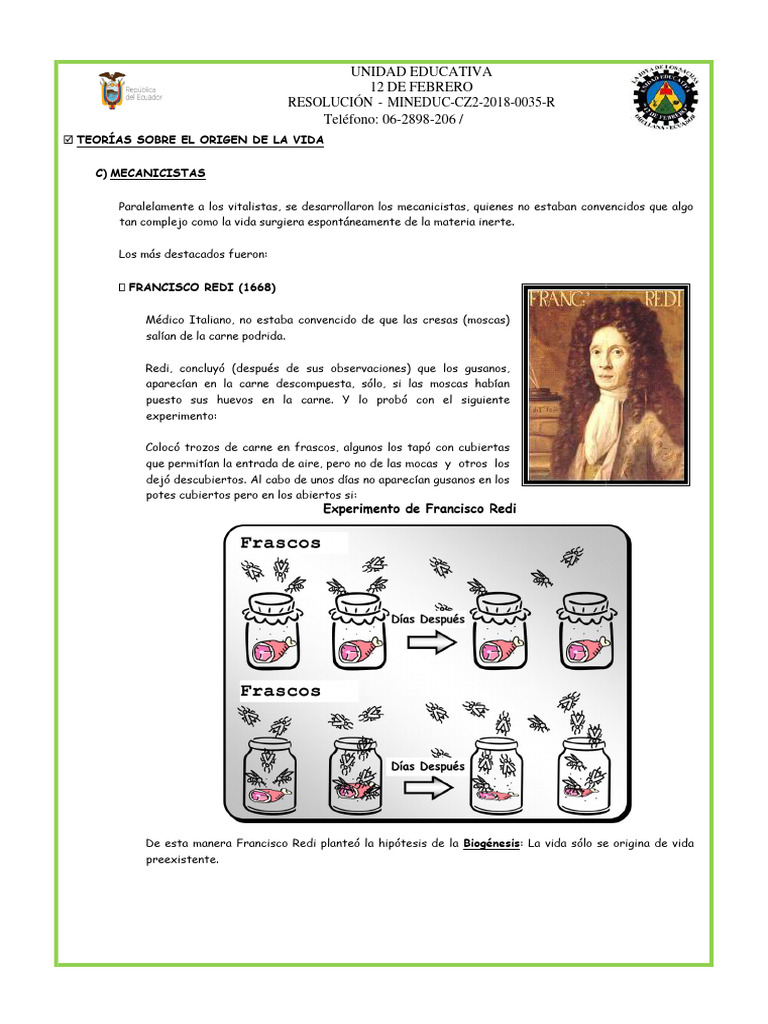 Teorías del Origen de la Vida | PDF | Biología | Naturaleza