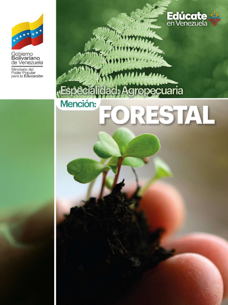 Formación Agropecuaria: Mención Forestal | PDF | Los bosques | Gestión ...