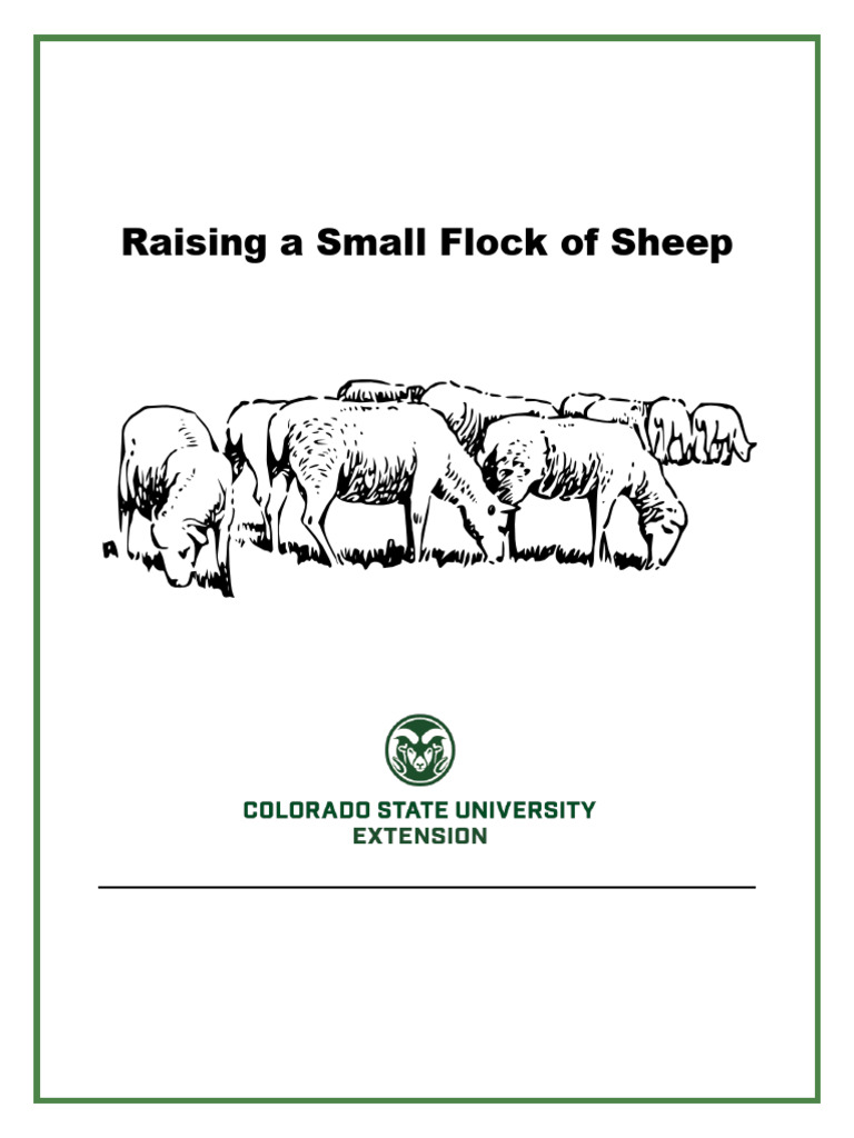 Managing a Small Flock of Sheep | PDF | Sheep | Wool
