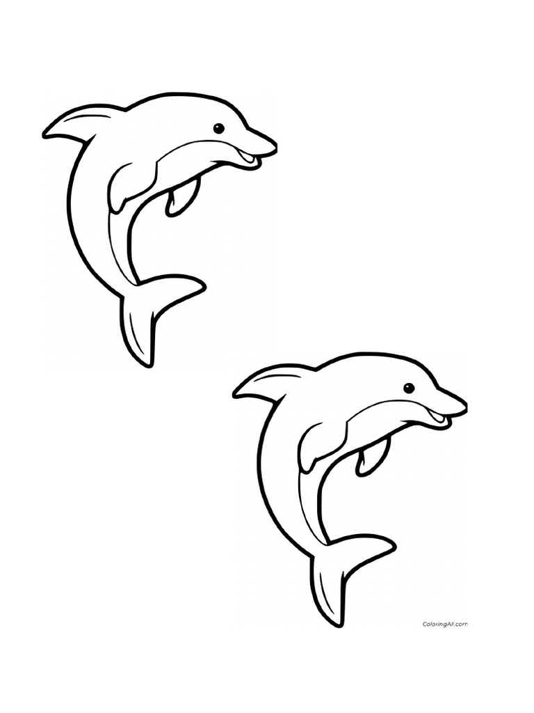 Dolphin visual data 7