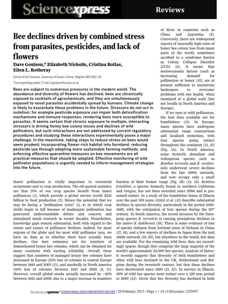 Bees Pdf Bees Bumblebee