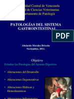 PATOLOGIA DIGESTIVA 2011