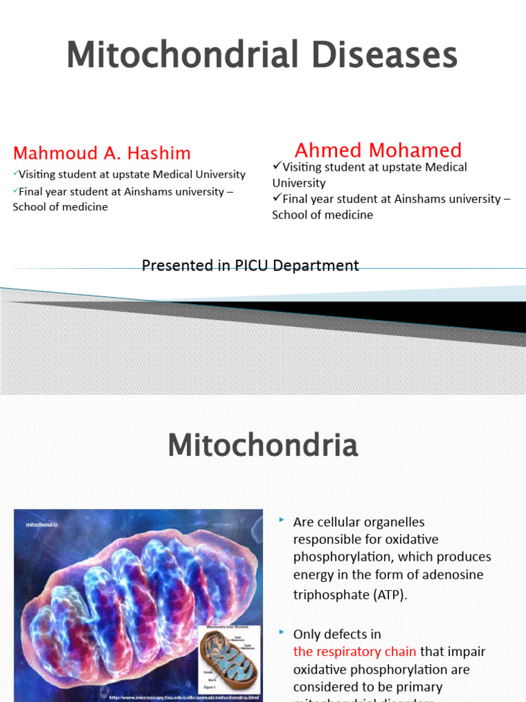 Understanding Mitochondrial Diseases | PDF | Mitochondrion ...