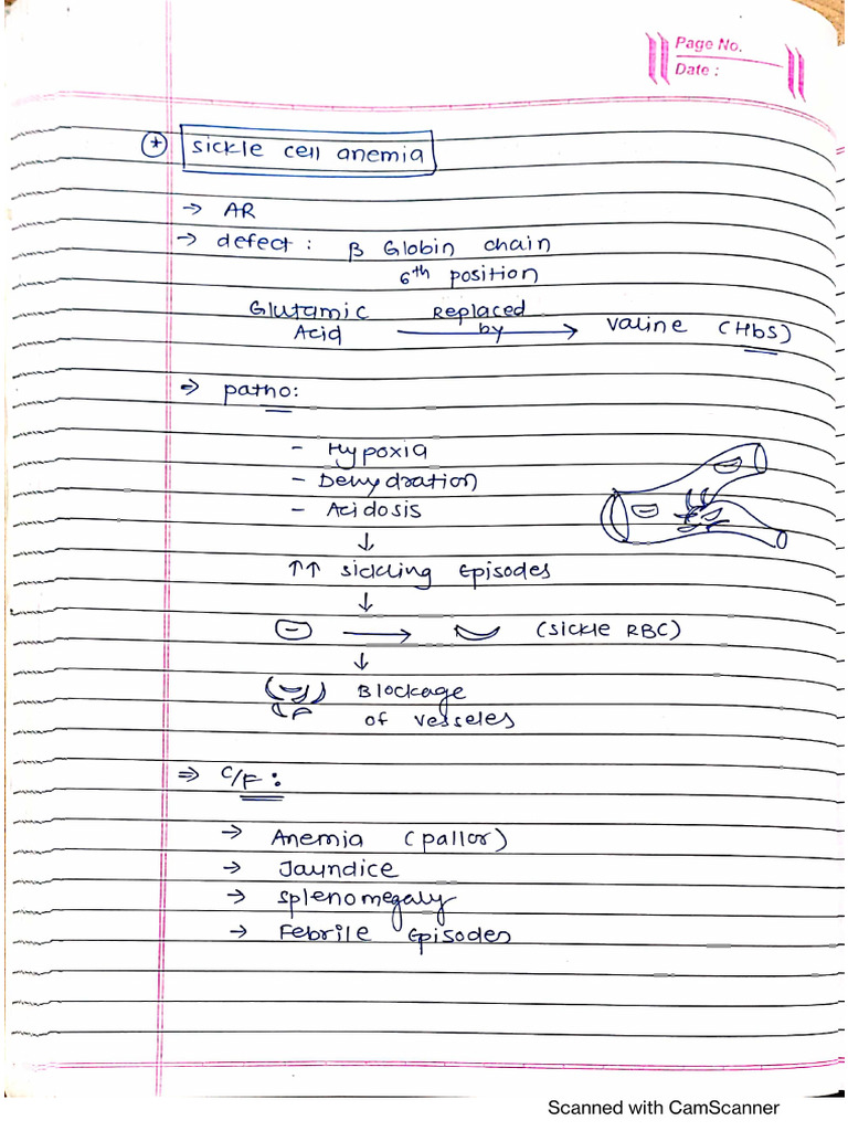 Sickle Cell Anemia Pdf