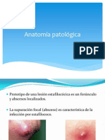 Anatomía Patológica de Estafilococos