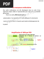 Définition et principe du RFLP | PDF | Réaction en chaîne par ...