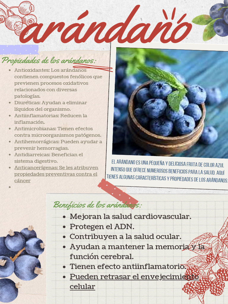 Arándanos Beneficios Para La Mujer Wallpaper Ultra Hd