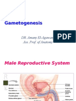 1. Game to Genesis I-My Lecture