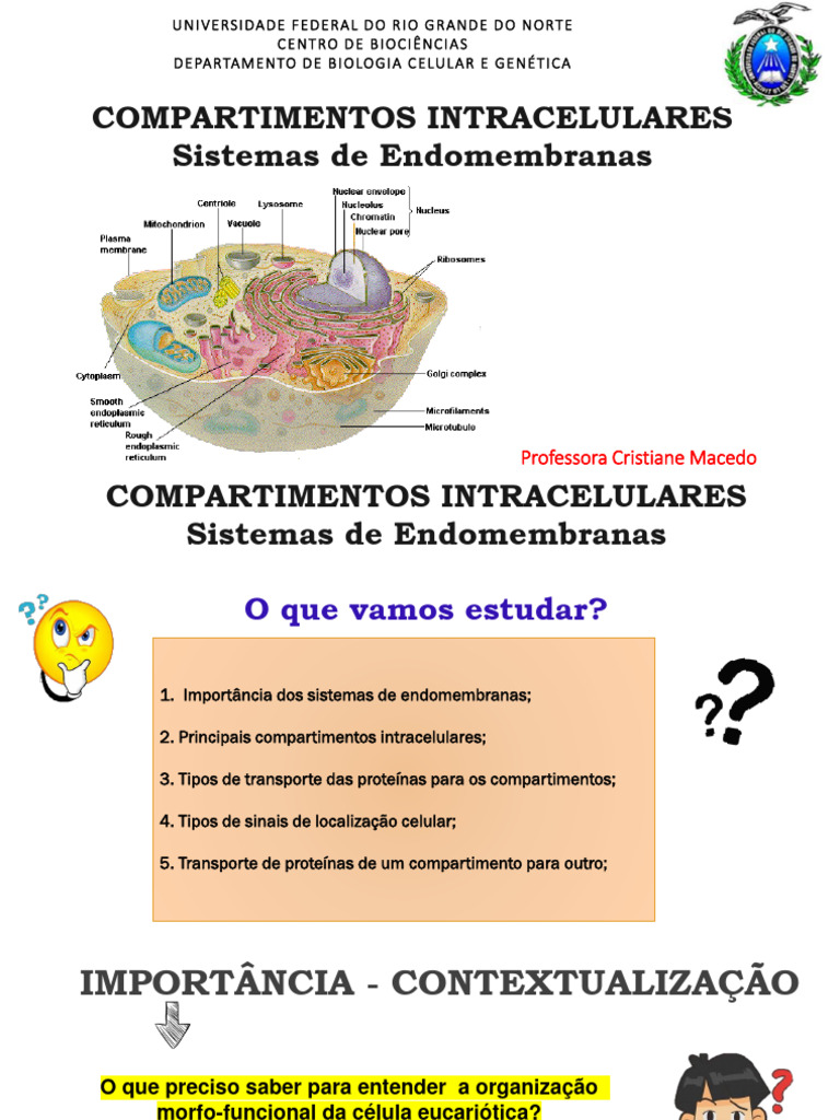 Compartimentos Intracelulares e Transporte | PDF | Lisossoma | Célula ...