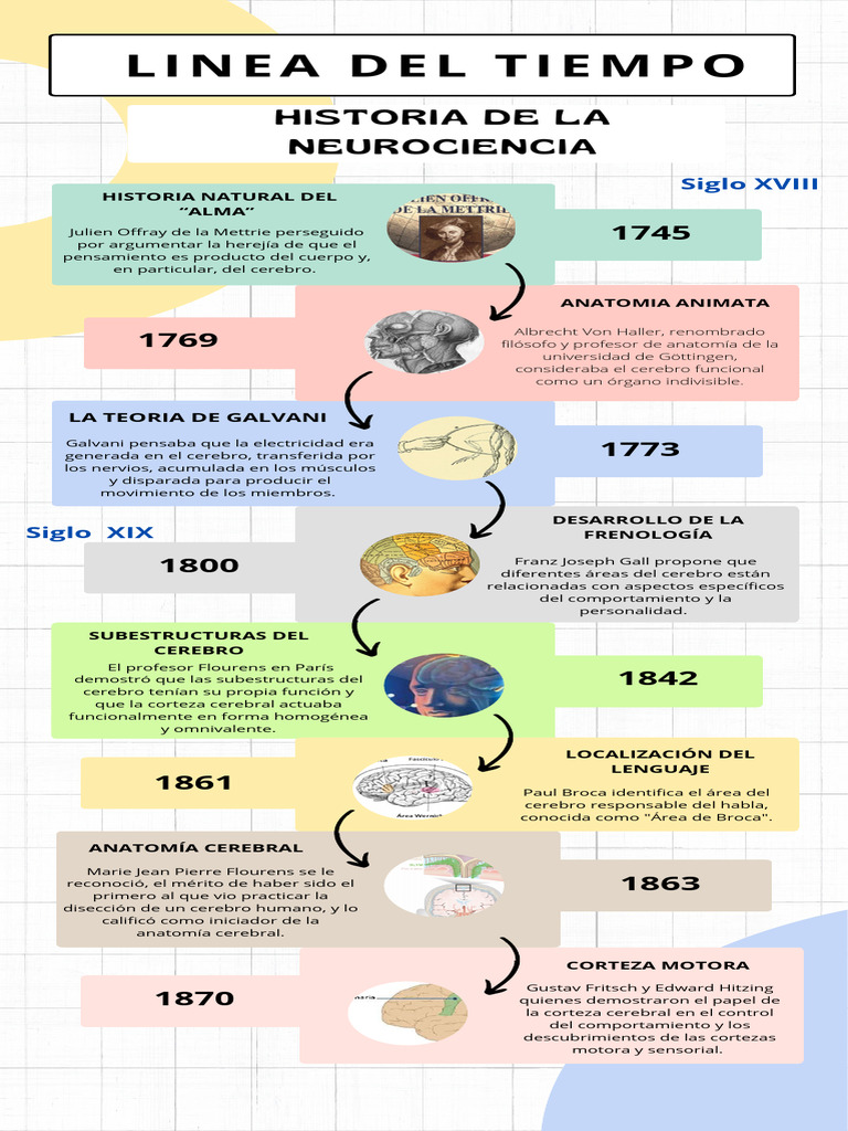 Historia de la Neurociencia en Línea del Tiempo | PDF | Cerebro ...