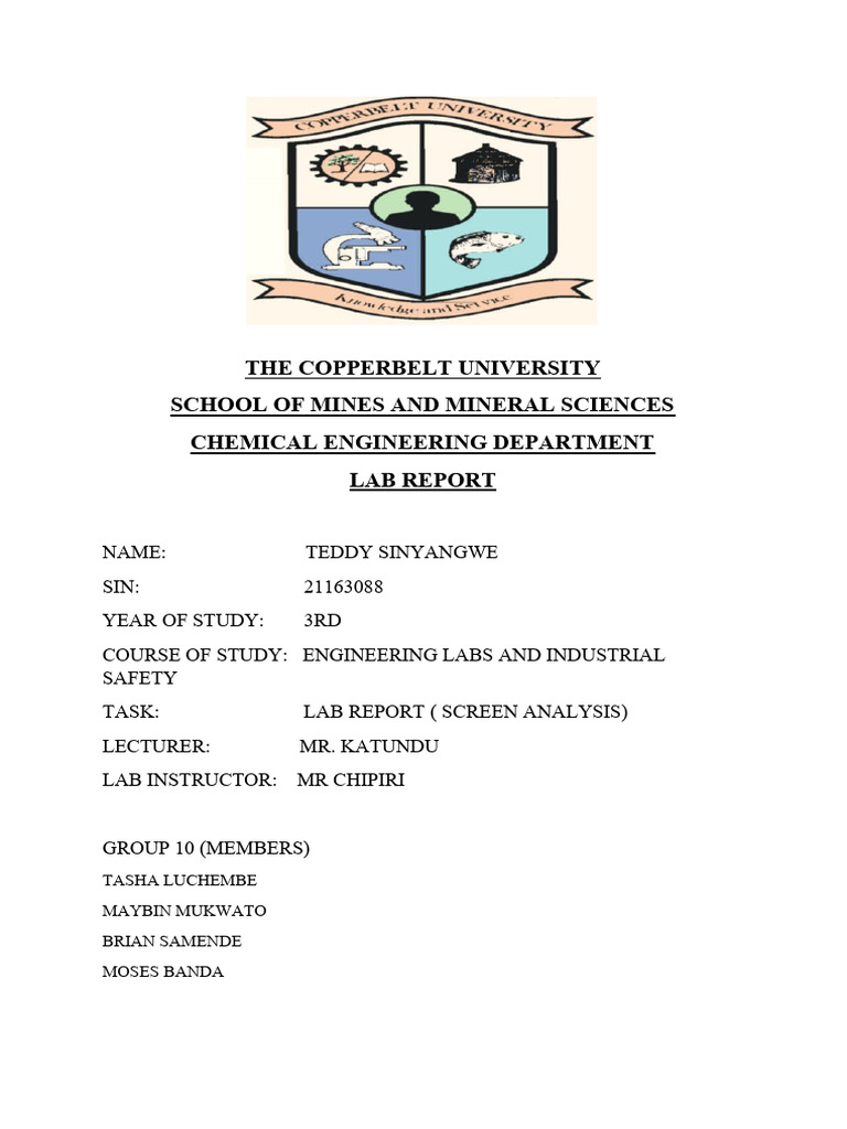 Screen Analysis Lab Report Summary | PDF | Physical Sciences | Materials