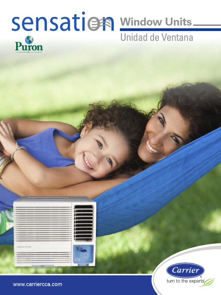 sensation-carrier-window-unit-v3-pdf-ingenier-a-qu-mica-qu-mica