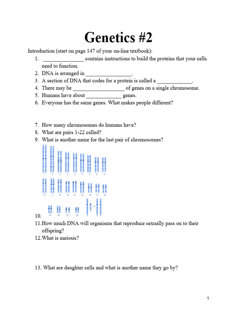 Genetics #2worksheets | PDF | Genotype | Dominance (Genetics)