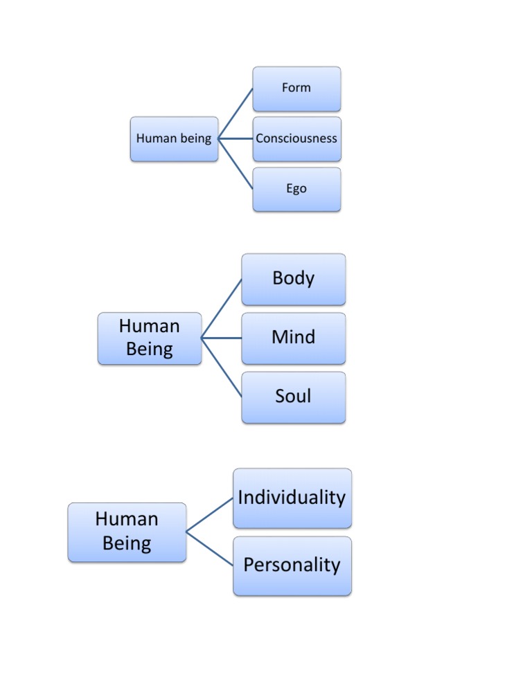 Human Being Composition | PDF