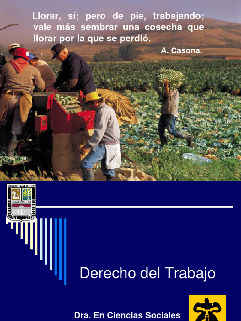Derecho Del Trabajo | PDF | Derecho laboral | Ciencias Políticas