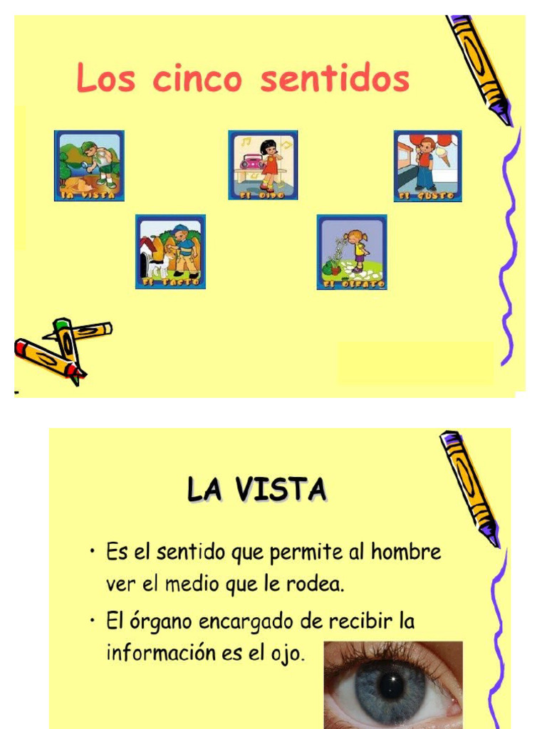 Los 5 Sentidos Pdf