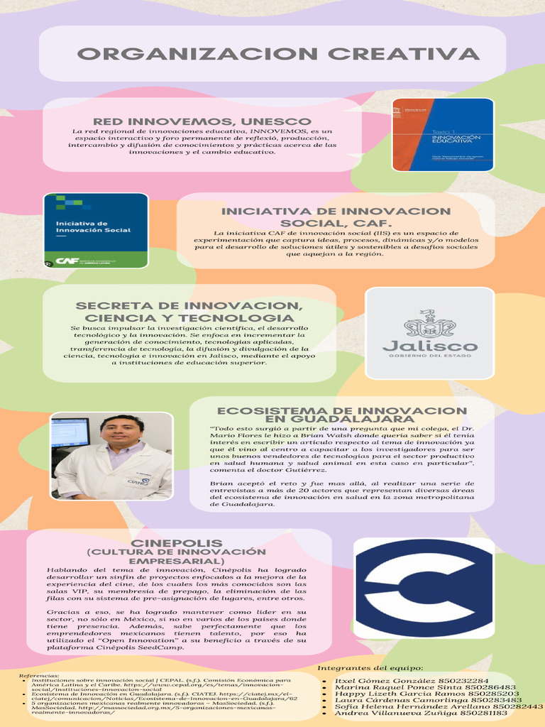 Infografía Consejos de Creatividad Orgánico Floral Rosa - 20240627 ...