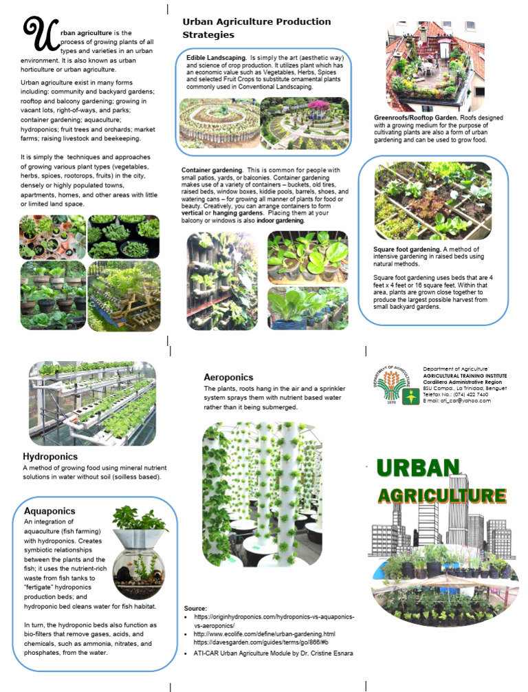 Urban Agriculture Techniques Explained | PDF | Urban Agriculture ...
