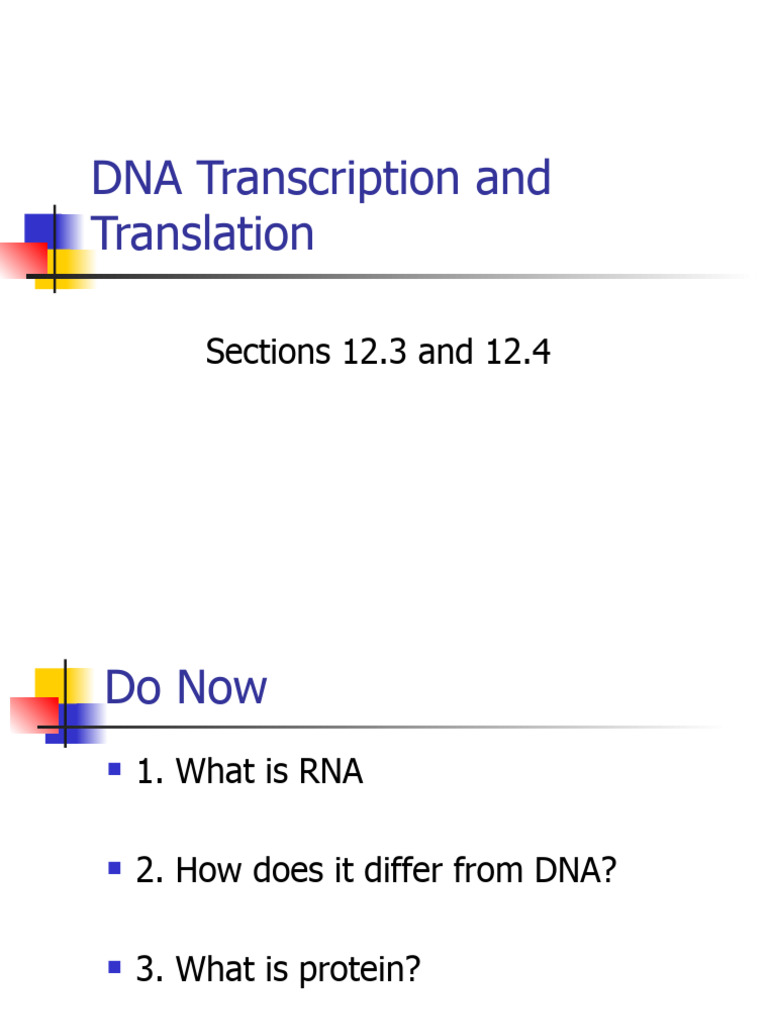 DNA Transcription and Translation GELNCOE | PDF | Translation (Biology ...
