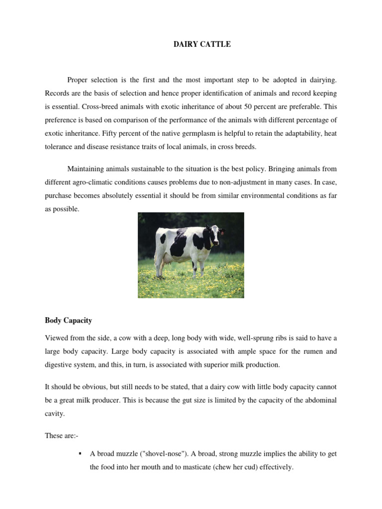 Cattle Selection | PDF | Cattle | Dairy Cattle