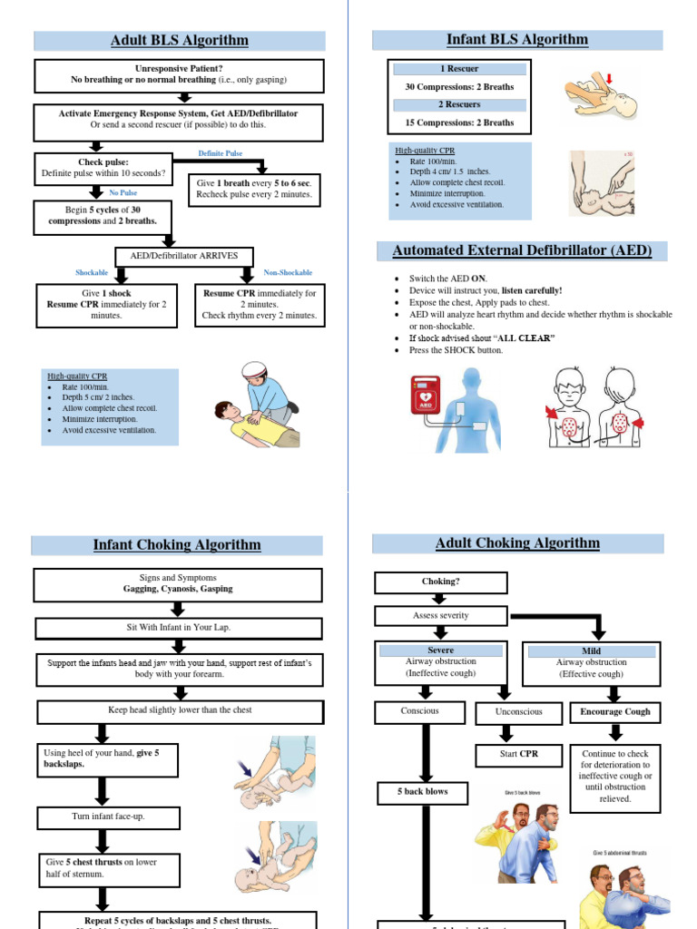 BLS Algorithm | PDF | Cardiopulmonary Resuscitation | Medicine