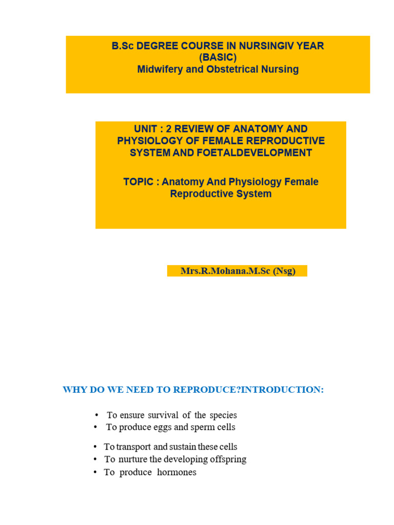 Female Reproductive System Anatomy Overview | PDF | Uterus | Labia