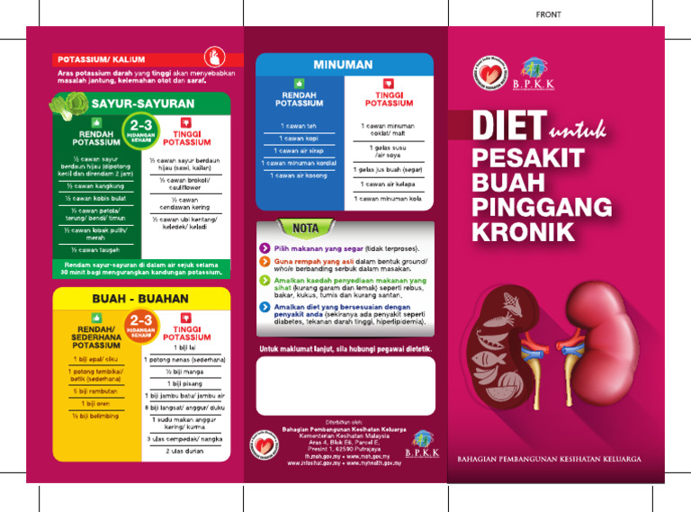 Diet Pesakit Buah Pinggang Kronik Front Embedded Ol | PDF