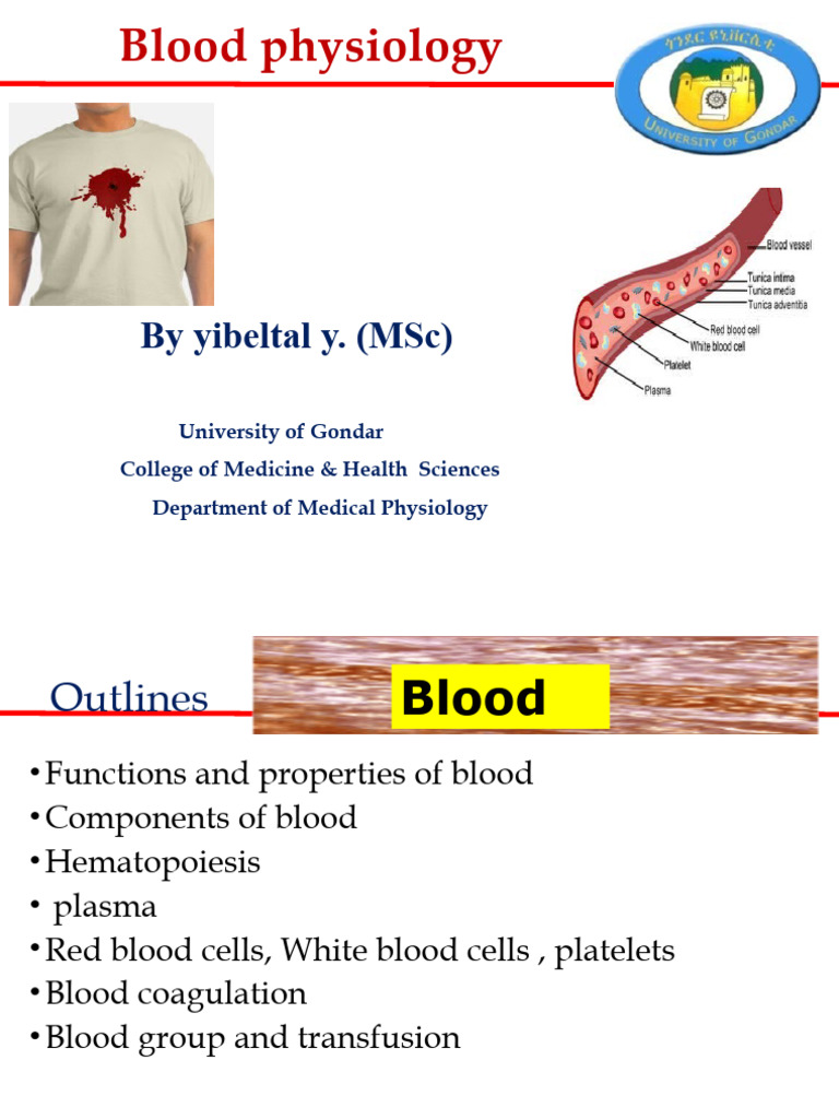Blood Physiology Overview and Functions | PDF | Coagulation | Immune System